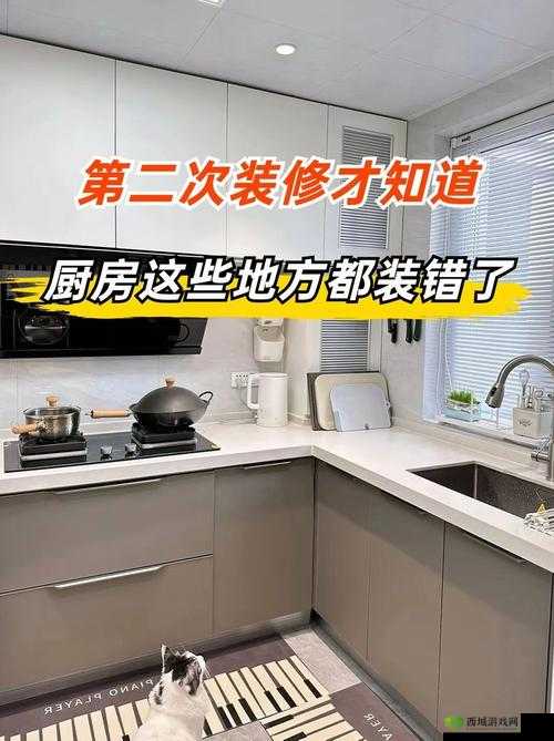 疯狂厨房 2 双人模式新手教程:详细步骤与实用技巧指南