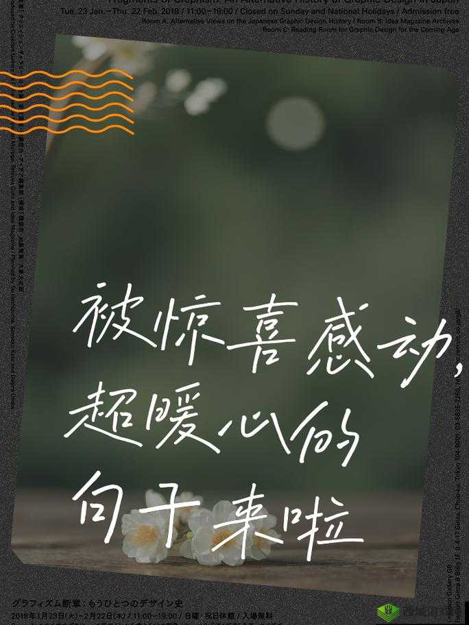 619Y 你会回来感谢我的:这份惊喜等待你的开启