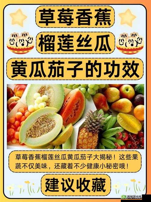 茄子香蕉榴莲草莓丝瓜向日葵免费版:品尝水果与探索自然的奇妙之旅