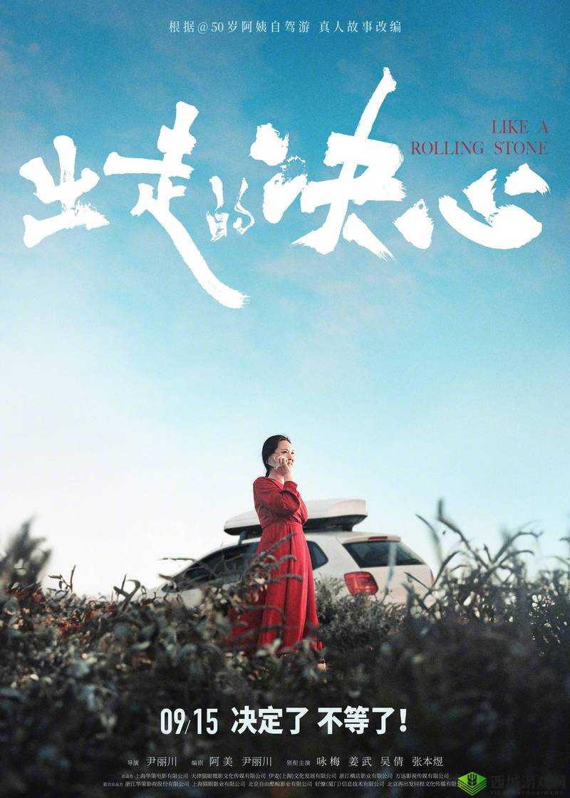阿姨电影:展现独特视角下的人生百态与情感纠葛