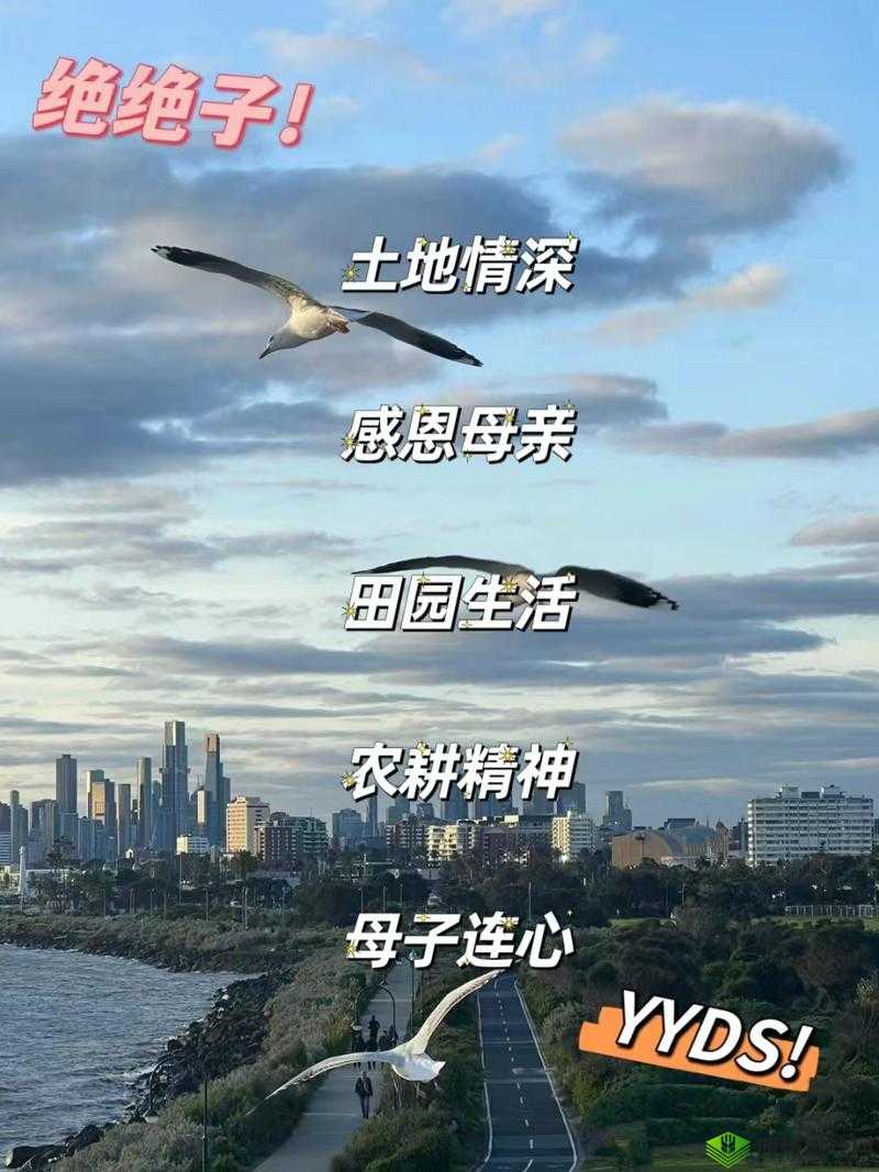 儿子耕种母亲的田地的寓意视频:传承与感恩的深刻诠释