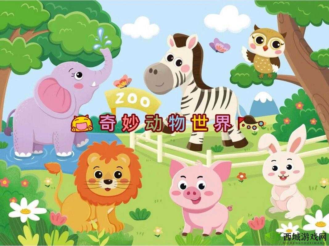 Zoom 动物高清视频:领略奇妙动物世界的精彩