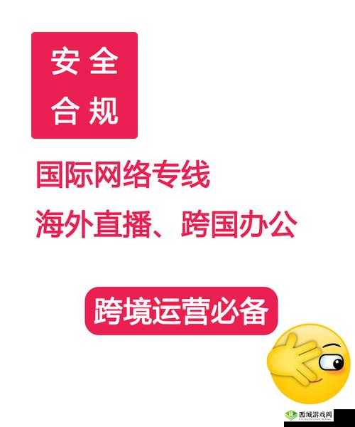 请在合法合规的前提下使用网络资源,以免造成不必要的麻烦