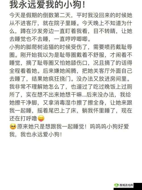 宝贝~腿开大点我添添公视频:探索别样私密体验