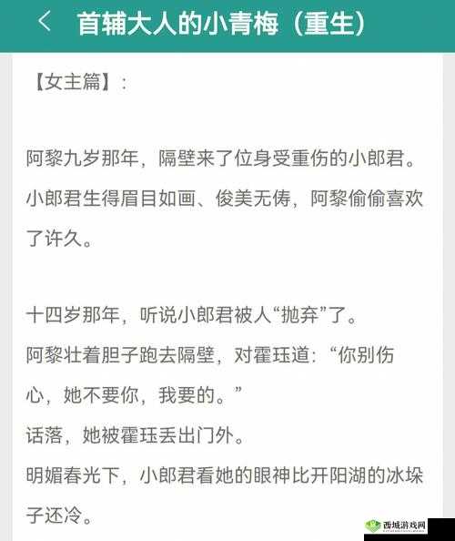 首辅大人 1V2:一场惊心动魄的较量与挑战