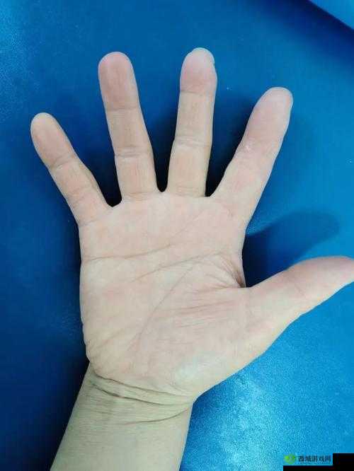 一只手刚好能握住:那独特而奇妙的尺寸之美