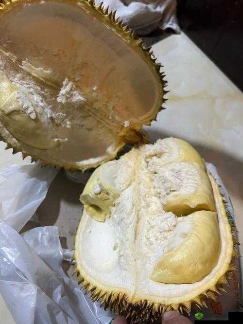 lll.999 榴莲视频:精彩内容等您来探索发现