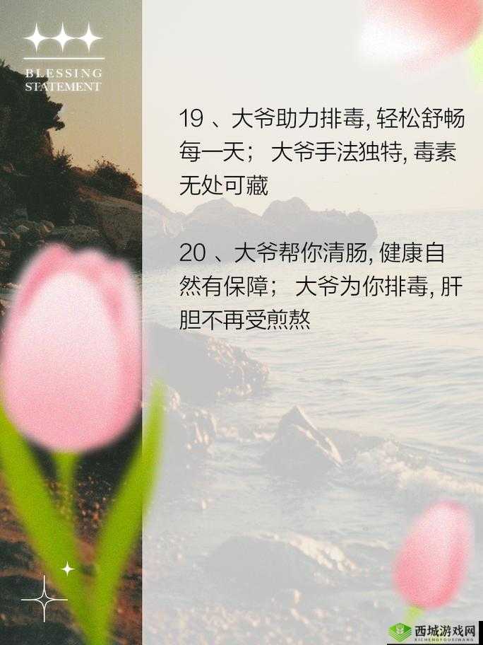 大爷是在帮你排毒小说:一段令人匪夷所思的排毒之旅