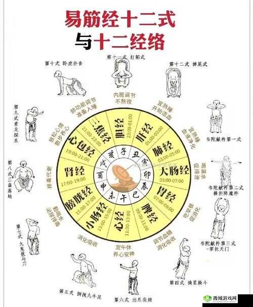 探秘武林绝学,易筋经的深度解读与学习之道
