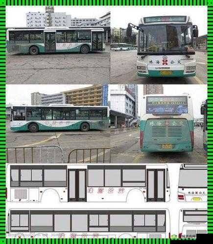 yingdan 小镇公交车尺寸上线全都免费惊呼:引发当地居民热烈反响