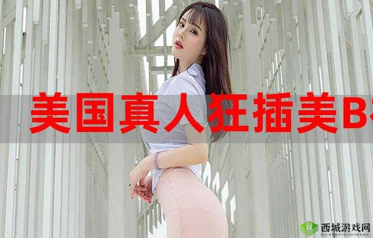 b 站免费版:无需会员畅享精彩视频