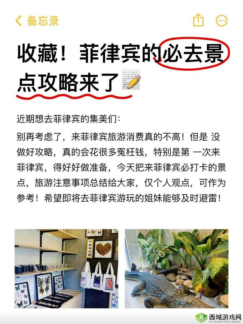 A级无遮挡相关内容:探索其独特魅力与意义