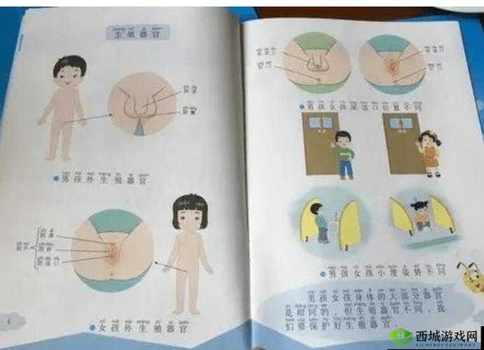 性教育:了解性知识,保护自己和他人