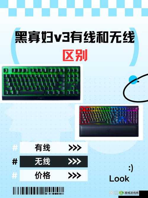 黑寡妇 v3 无线多少入手合适:不同渠道价格对比与分析