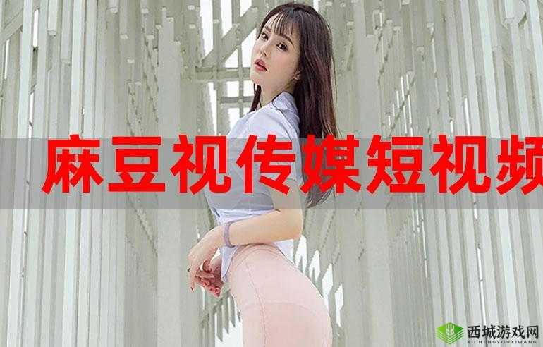 国产麻豆 MD 传媒视频:精彩演绎不容错过