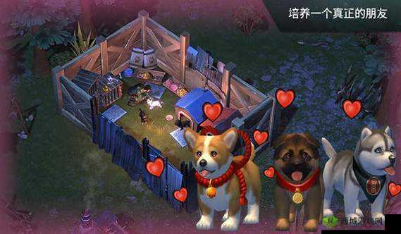 Lastdayonearth 猪和人精品:独特魅力与精彩呈现