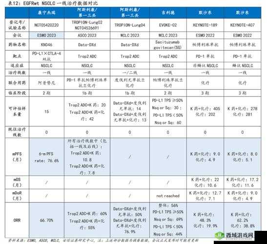 adc 满十八岁年龄确认 19216801:这是一个重要的标识信息