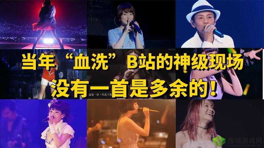 B站 无字幕资源 :带你领略原汁原味的视听盛宴