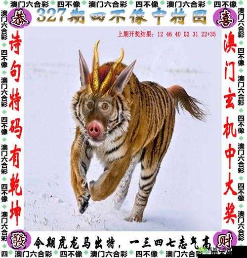 澳门最快开奖记录今日开什么:实时揭晓精彩结果