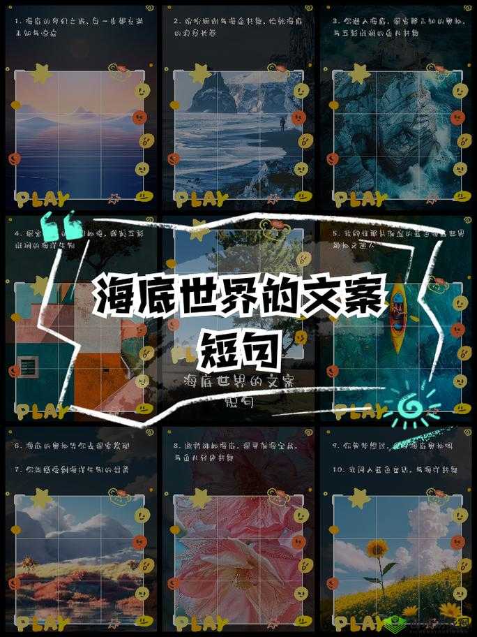 美国 XAXWASWASWAS:探索未知的世界