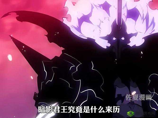 奥拉索斯战纪,光辉与暗影交织的史诗