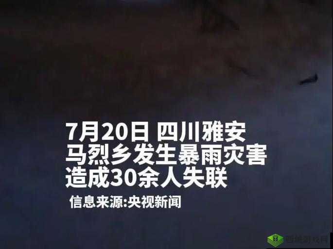 yw193.coc龙物失联:到底是什么原因导致其失联令人深思