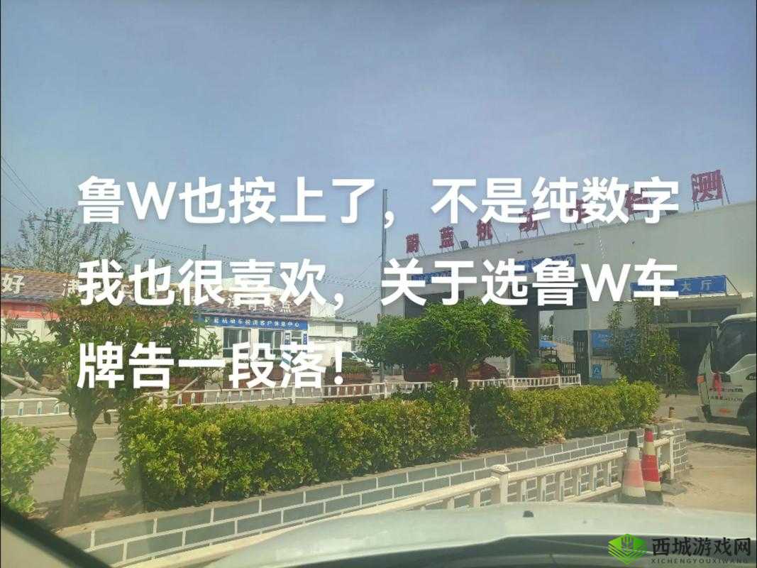 939W68W78W:探索未知领域的神秘数字组合