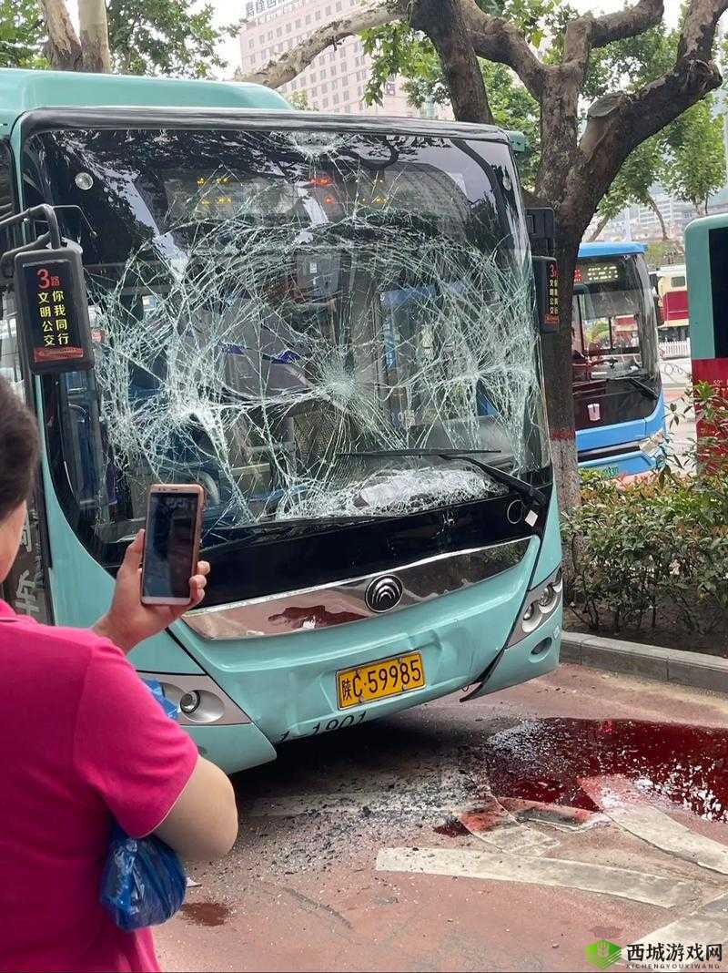 公交车上一路被 C:一段奇特的公交之旅经历