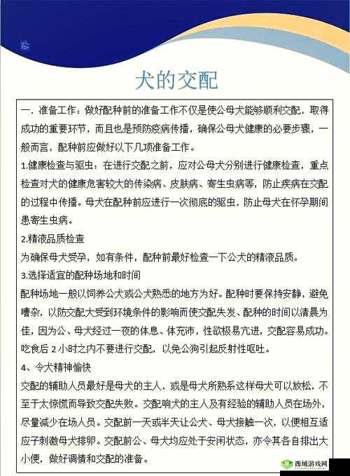 如何科学地进行犬类配种:狗狗配人怎么配
