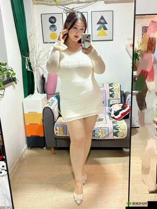 大肥女BBW:关于其独特魅力与生活故事的探讨