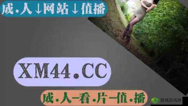 无人去码一码二码三码区:探索未知的神秘领域