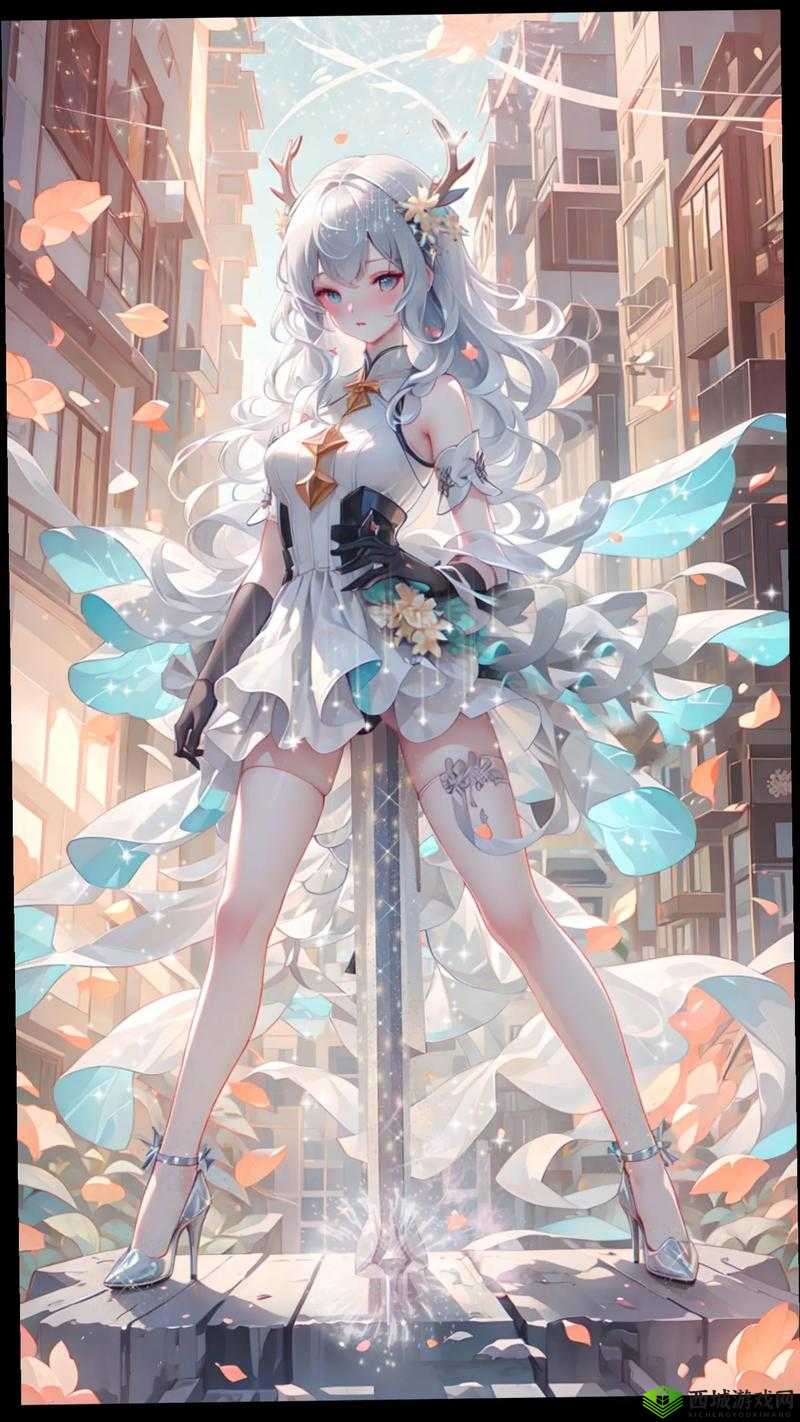 530 动漫:一场二次元的奇幻冒险