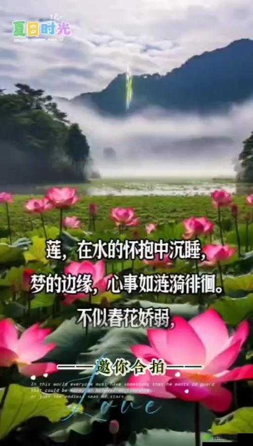 什么叫女人半夜莲花开：探寻其中蕴含的深层意义