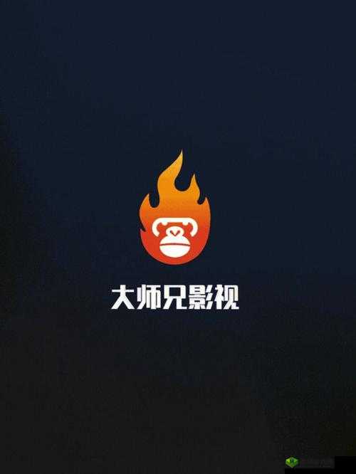 大师兄影视在线观看:优质影视资源,畅享视觉盛宴