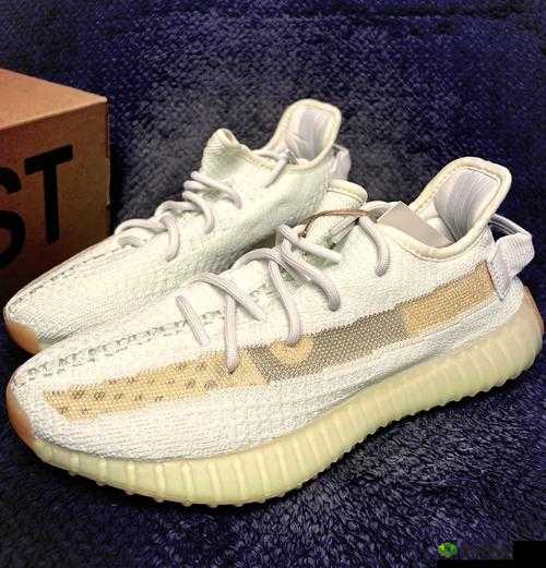 亚洲 Yeezy 官网网站:时尚潮流鞋款的前沿阵地