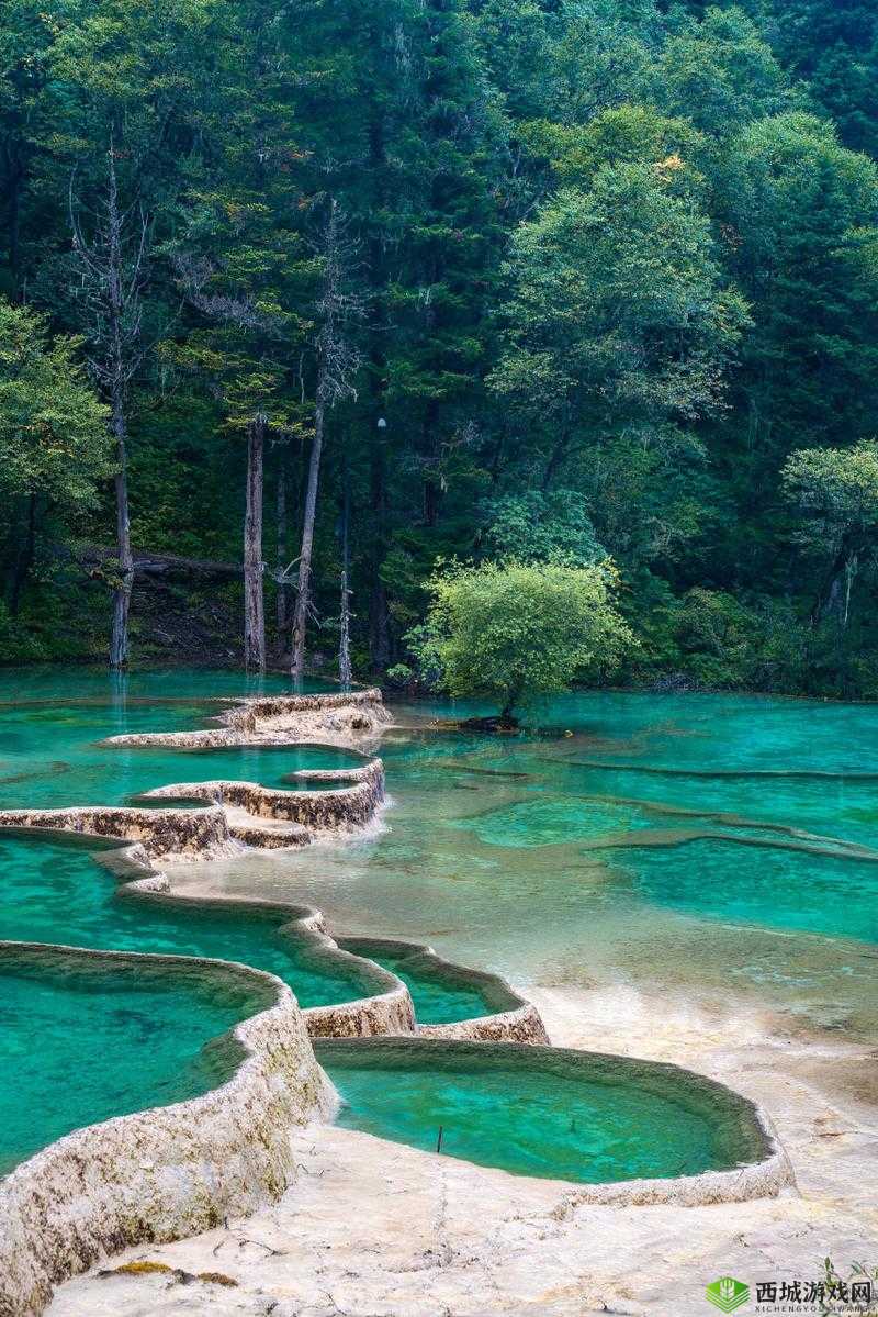 黄龙直捣溪水潺潺:那如诗如画的绝美自然景观