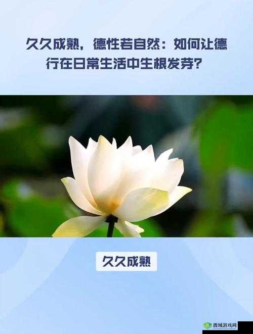 久久成熟:德性若自然,方为人生真谛