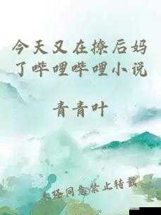 今天又在撩后妈了:禁忌之恋的哔哩哔哩小说