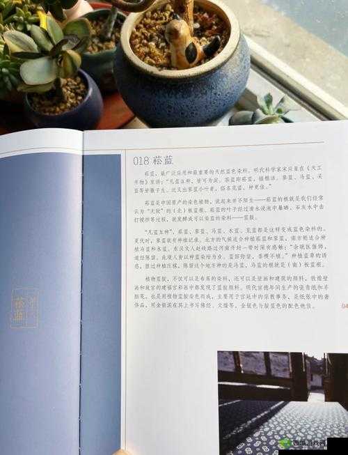 亚欧色吧:探索亚欧文化的魅力与色彩