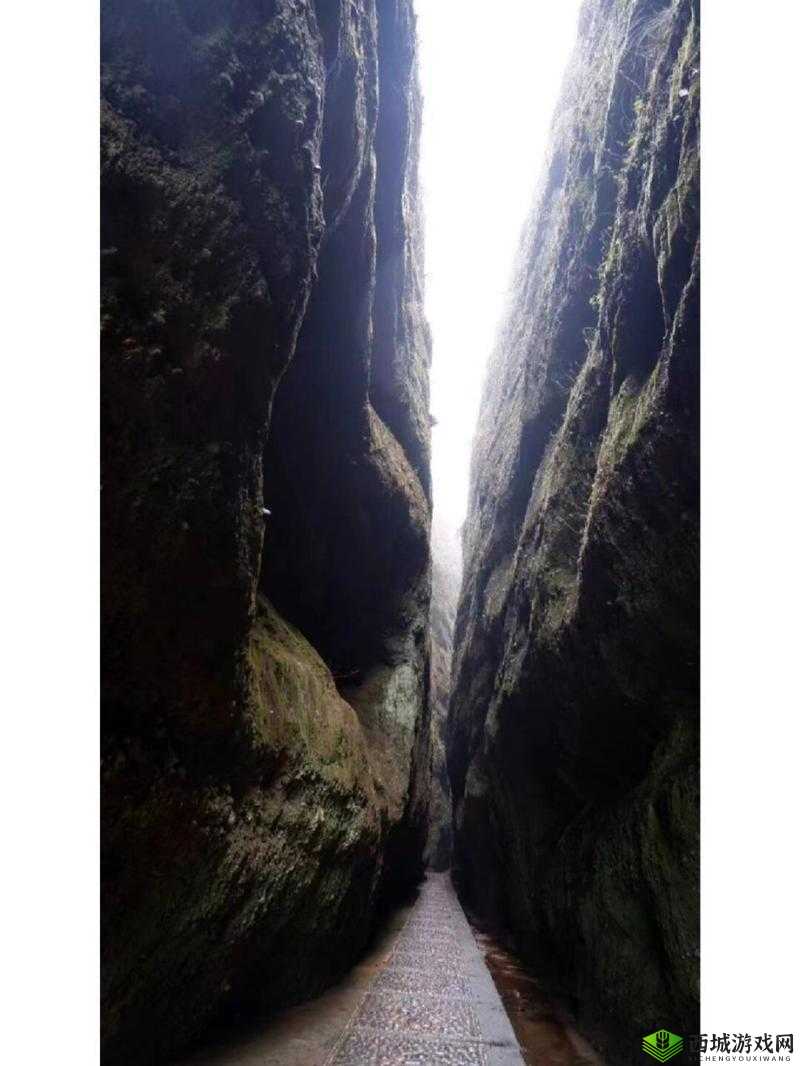 白虎一线天:大自然鬼斧神工造就的神奇景观探秘