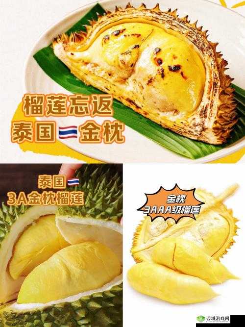 榴莲推广 app 网站入口:畅享榴莲美味与便捷购物体验