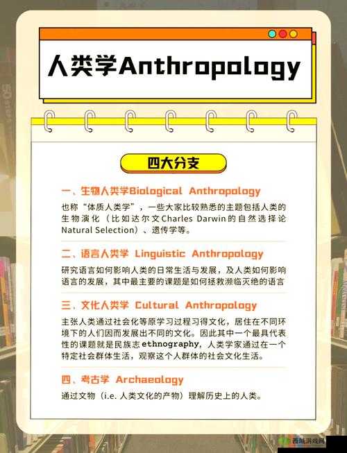 欧美添阴:探索性文化的多样性