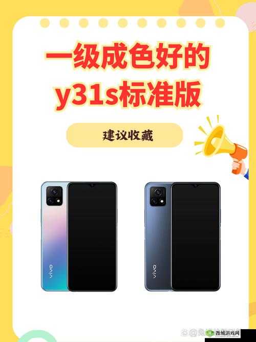 成色好的 y31 标准:优质之选的典范