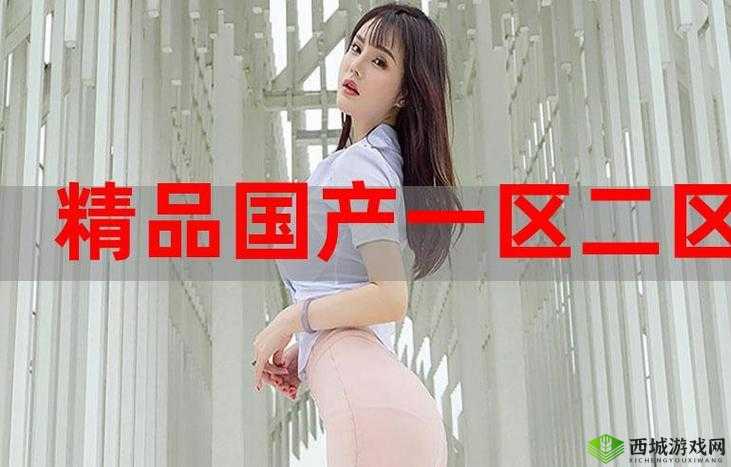 98 精产国品一二三产区:品质与创新的完美结合