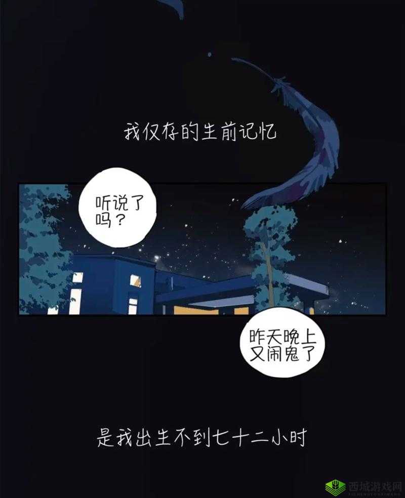 黄版本富二代抖音:一个独特的抖音账号背后的故事