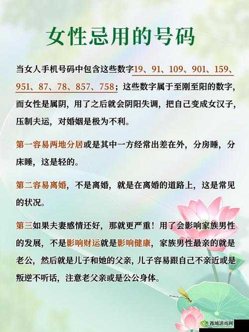 九一妻友:关于九一妻友的详细介绍与相关探讨
