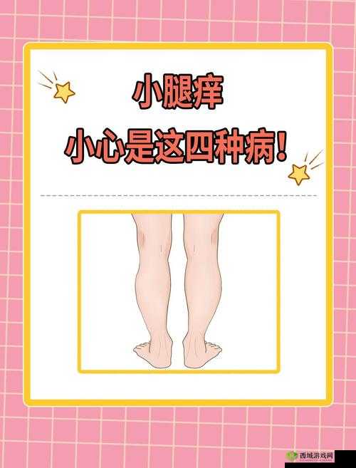 淑芬两腿中间瘙痒难耐,究竟是何原因引发如此状况