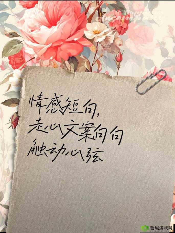通房 11H 云舒:一段跨越时空的情感纠葛