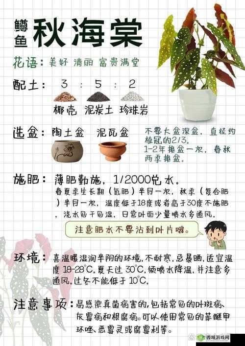 海棠怎么突然进不去了?原因究竟为何