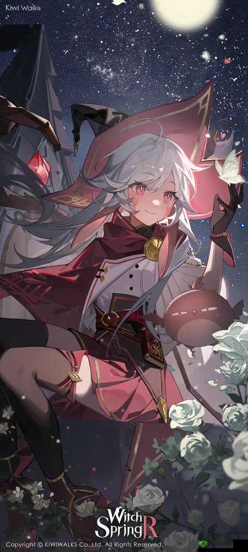 魔女之泉3,灵魂石升级与生命力上限提升全攻略